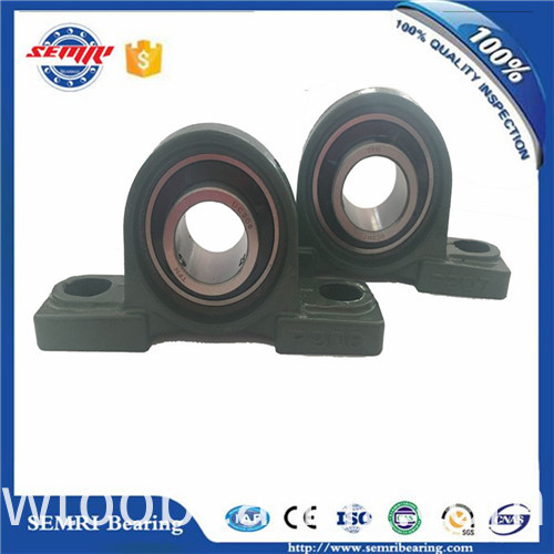 High Performance High Speed Pillow Block Bearing (UCP204)